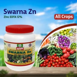Multiplex Swarna Zn Zinc EDTA 12% Chelated Micronutrient Fertilizer For All Crops 2
