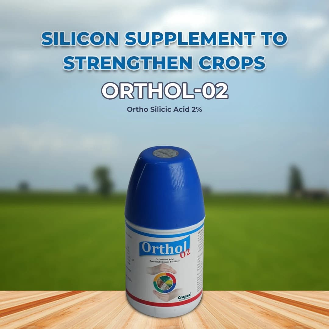 Orthol 02 - Ortho Silicic Acid 2% Fertilizer - Image 2