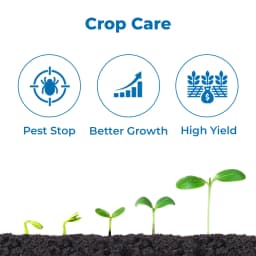 Suraksha Kit Sucking Pest Control at Flowering Stage 45-80 Days (F-Zone 250 ML + Miraj 250 ML + Flower Magic 250 ML + NB 80 250 ML) 3