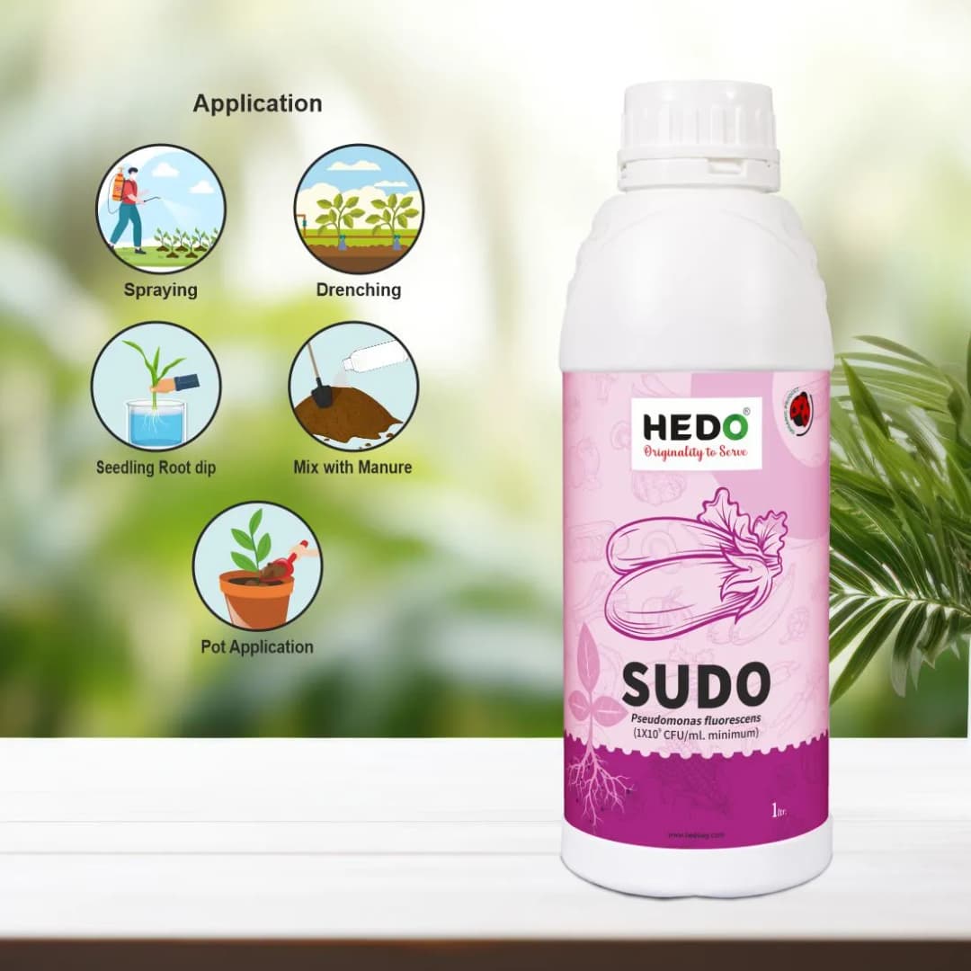 HEDO Sudo (Pseudomonas Fluorescence) Liquid Bio Fungicide, Effective Against A Wide Range Of Soil, Seed, And Air Borne Plant Diseases - Image 4