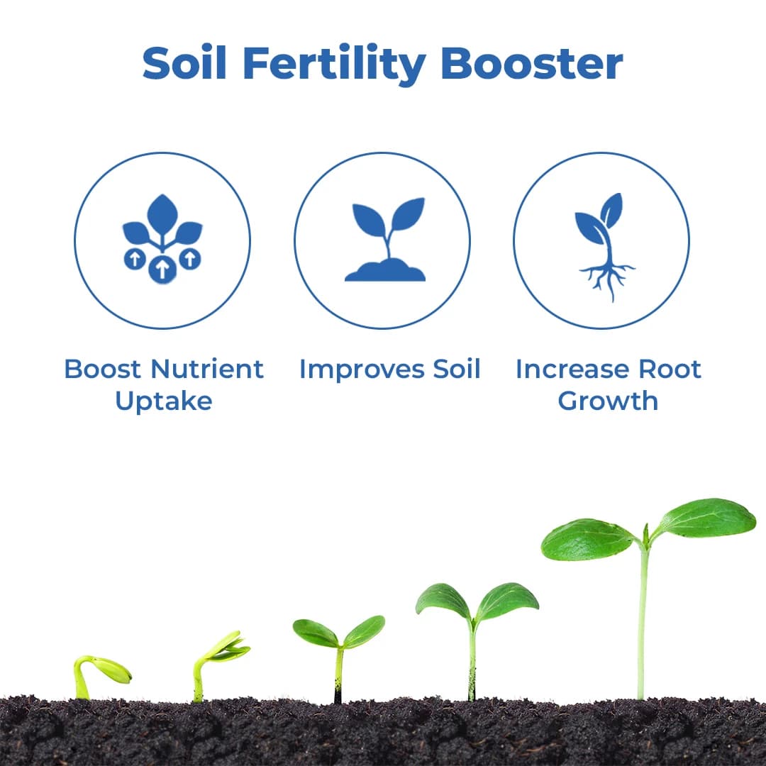 Agribegri Humic Acid 98% (Super Potassium Humate) Loose Bag Packing, It Helps The Soil To Improve Plant Growth - Image 3