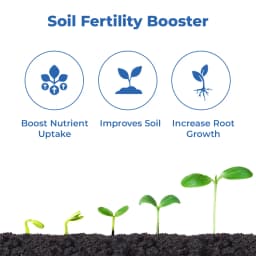 Agribegri Humic Acid 98% (Super Potassium Humate) Loose Bag Packing, It Helps The Soil To Improve Plant Growth 3