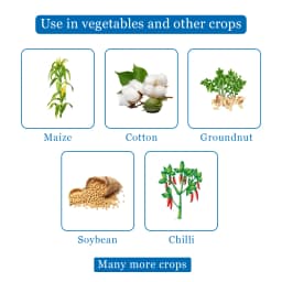 Arion Insecticide - Thiamethoxam 12.6% + Lambda Cyhalothrin 9.5% ZC 4