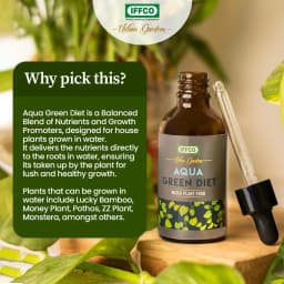IFFCO Urban Garden Aqua Green Diet Liquid Fertilizer, For Water Plant Food, Boost Growth For Lucky Bamboo, Money Plant, Pothos, And More 5