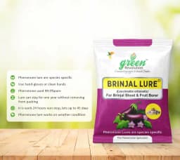 Funnel Pheromone Trap with Brinjal Lucin-O-Lure for (Leucinodes Orbonalis) Brinjal Fruit and Shoot Borer Insect. 5