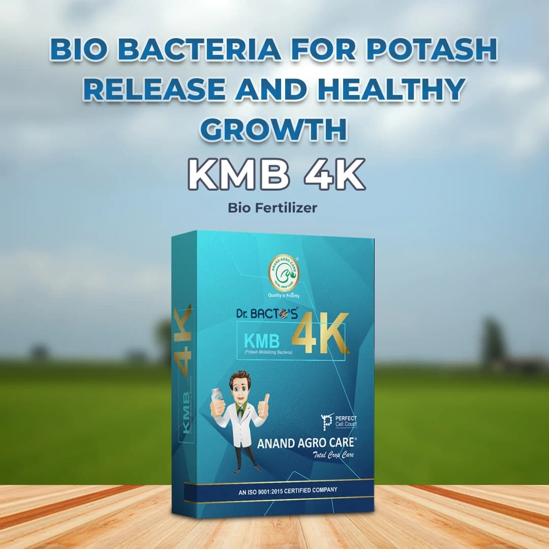 Anand Agro Care Dr. Bacto\'s KMB 4K (Potash Mobilizing Bacteria) Increases Crop Productivity And Yield - Image 2