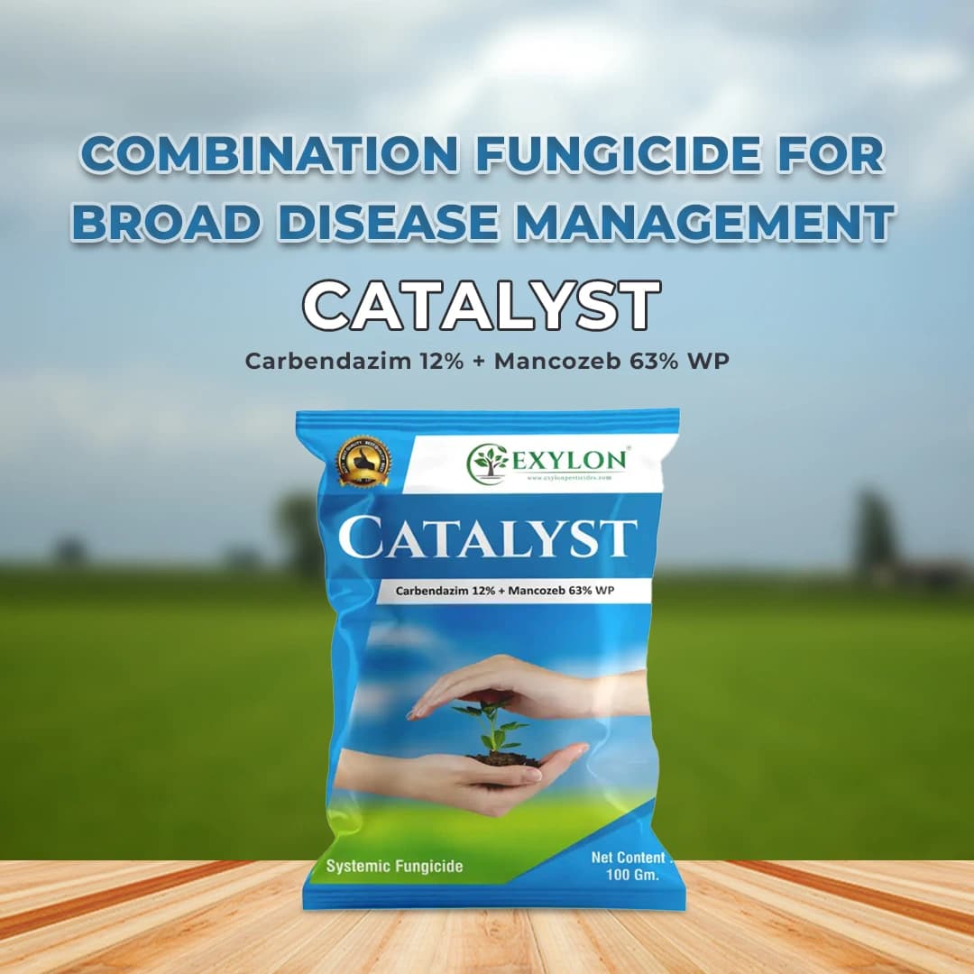 Exylon Catalyst Fungicide - Carbendazim 12% + Mancozeb 63% WP - Image 2