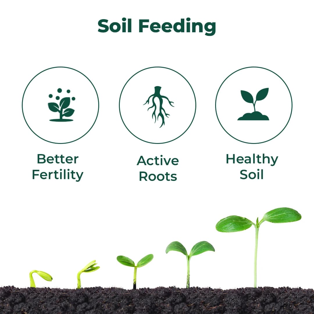 Green Revolution Jivanu NPK Consortia Bacteria Liquid Bio Fertilizer, Improves Soil Fertility And Plant Health. - Image 3
