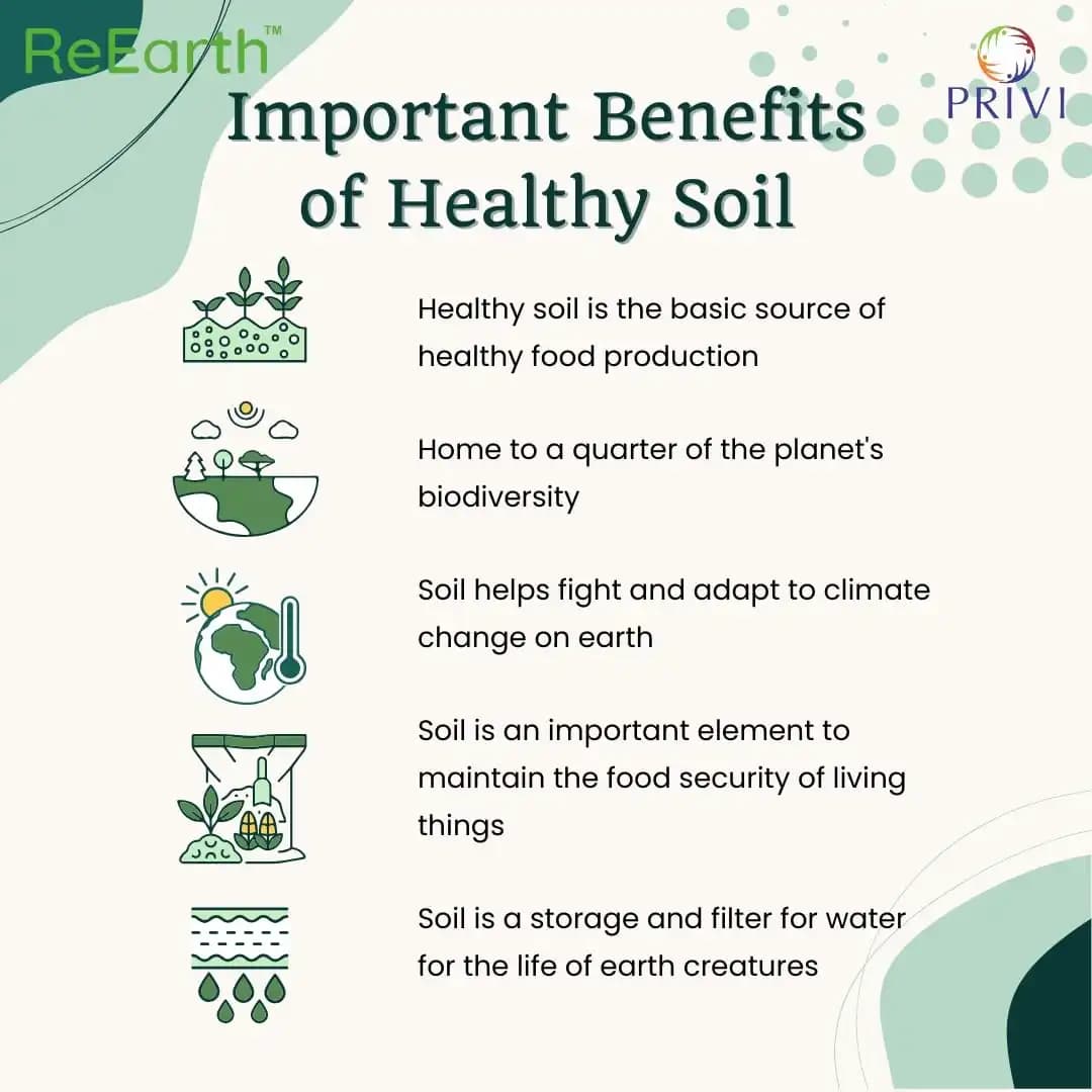 Privi Geoxol Soil Conditioner, Eco-Friendly Solution to Control Water Erosion And Improve Soil Health - Image 5