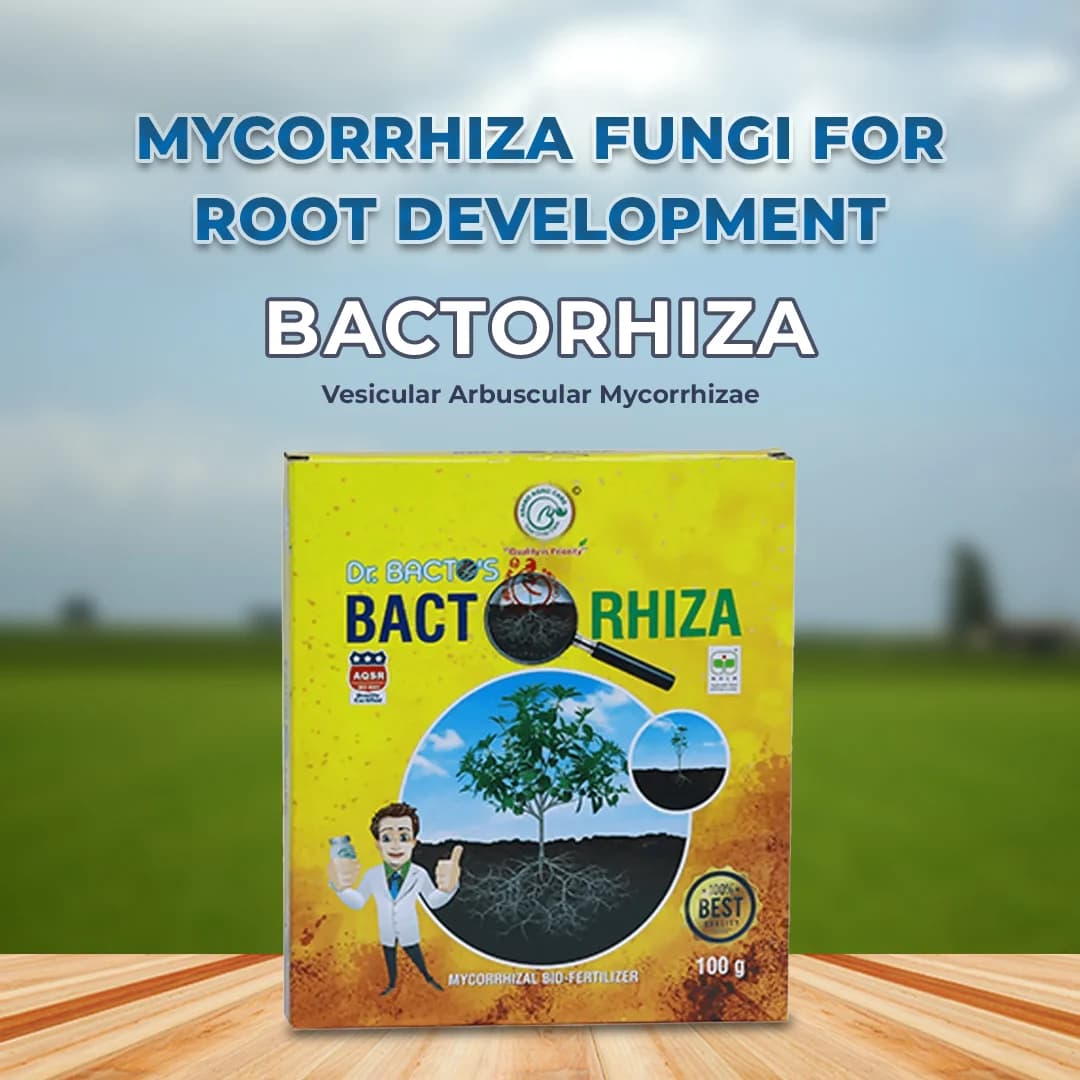 Dr. Bacto\'s Bactorhiza Powder Formulation Of Vesicular Arbuscular Mycorrhizae, Increases Water And Nutrient - Image 2