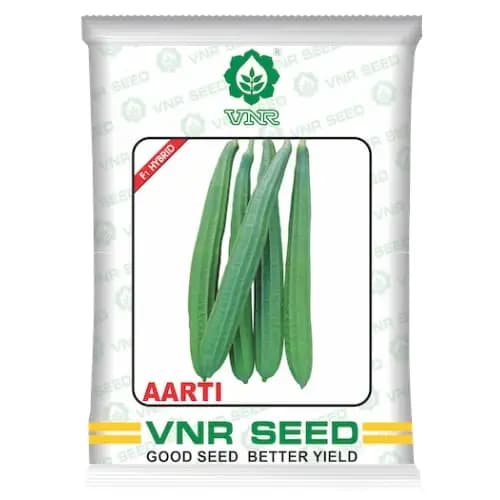 VNR Aarti Hybrid Ridge Gourd Seeds, High Yield, Tender & Attractive Green Fruits - Image 1