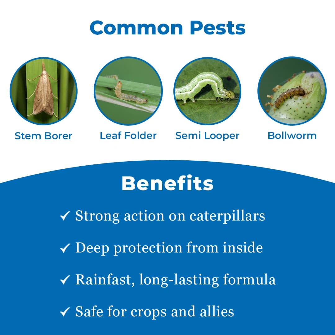 Swal Kinsta SC Insecticide - Image 3