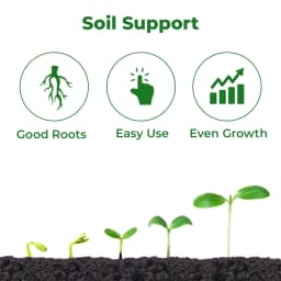 Anand Pancham Granules (Zyme Granules), Unique Formulation to Increase Plant Growth and Yield, Enhances The Root And Shoot Development 3