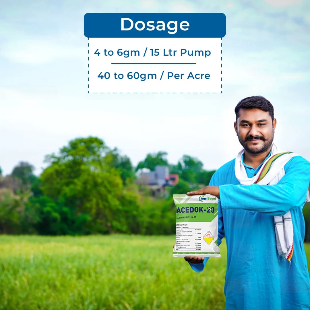 Acedok-20 Insecticide - Acetamiprid 20% SP - Image 5