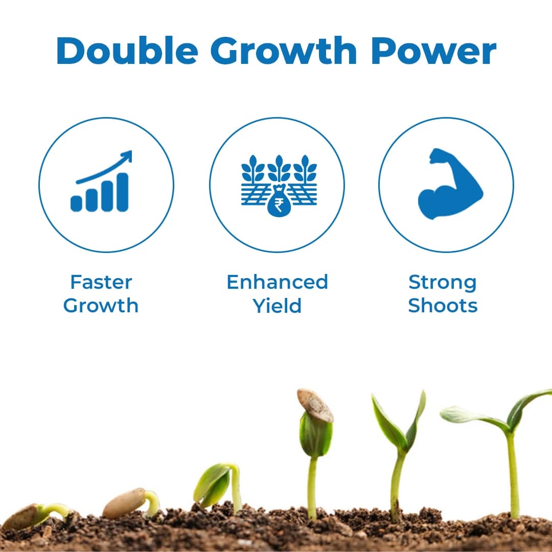 Godrej Double Crop Yield Enhancer - Image 3