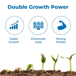 Godrej DOUBLE Homobrassinolide 0.04% Plant Yield Enhancer, Develops Resistance In Plants From Stress Such As Drought, Frost Injury 3