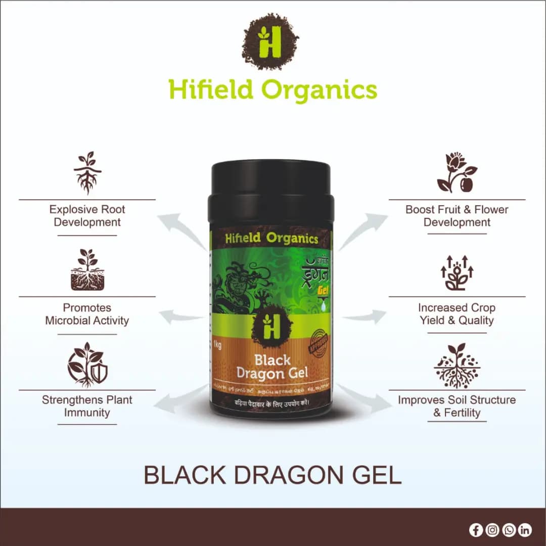 Black Dragon Gel (Humic Acid + Seaweed + Fulvic Acid) Natural Organic Fertilizer Containing Micro and Macro Nutrients, Suitable for all Crops - Image 3