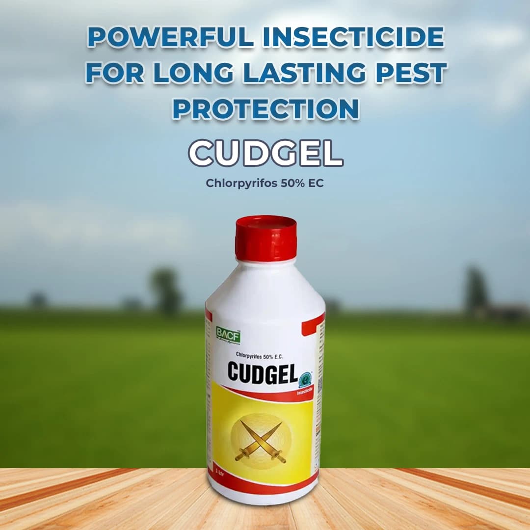BACF Cudgel Insecticide - Chlorpyrifos 50% EC - Image 2