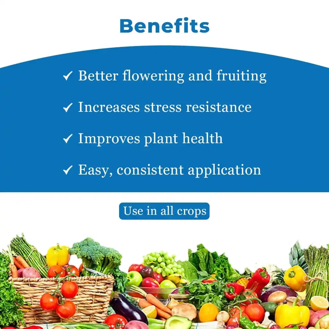 Godrej DOUBLE Homobrassinolide 0.04% Plant Yield Enhancer, Develops Resistance In Plants From Stress Such As Drought, Frost Injury - Image 4