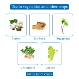 Agriventure Oxyflou (Oxyflourfen 23.5 % Ec) Diphenyl Ether Herbicide, Broad Spectrum Pre And Post Emergent 4