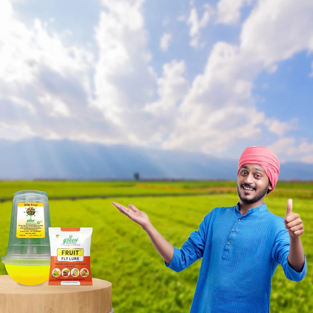 Fruit Fly pheromone Trap Set For 1 Acre and Lure For Bactrocera Correcta, Zonata, Dorsalisa. - Image 5
