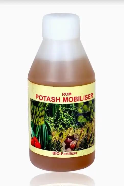 ROM Potash Mobiliser (Liquid Bio Fertilizer) For Mobilizing Potassium In Soil