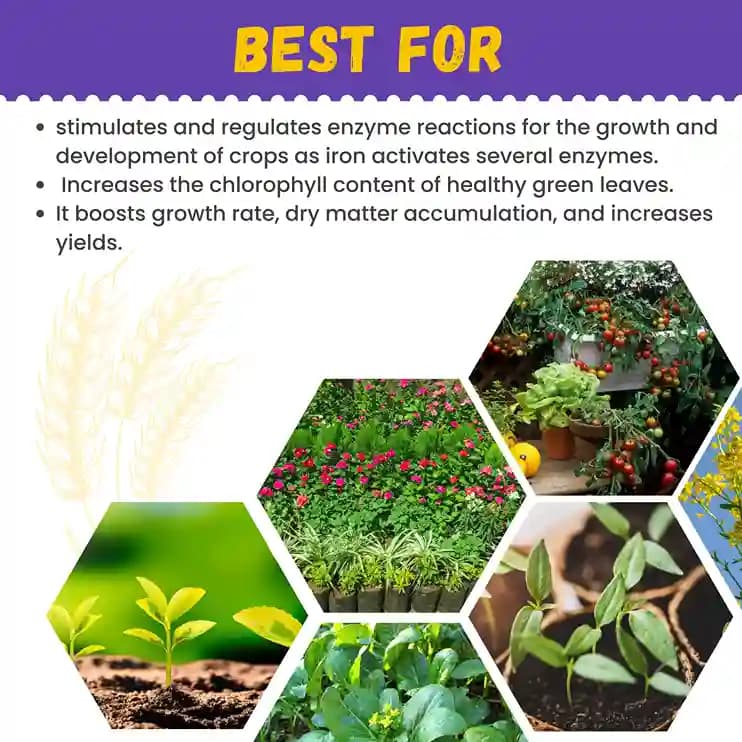 Katyayani Micronutrient Iron EDTA Fe 12% EDTA Fertilizer For Plant And Overall Development. - Image 7