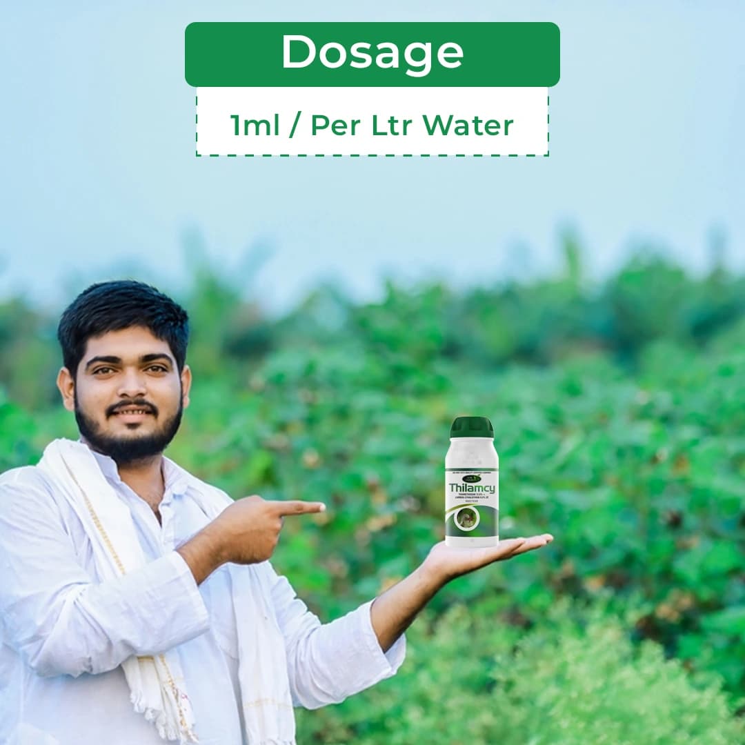 Agriventure Thilamcy Insecticide - Thiamethoxam 12.6% + Lambda-Cyhalothrin 9.5% Zc - Image 5