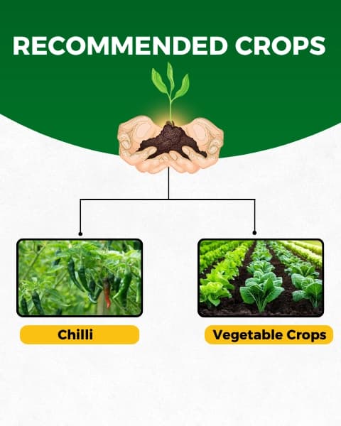 Katyayani Sarvashakti Organic Pesticide, Ultimate Control For Sucking Pests - Image 4