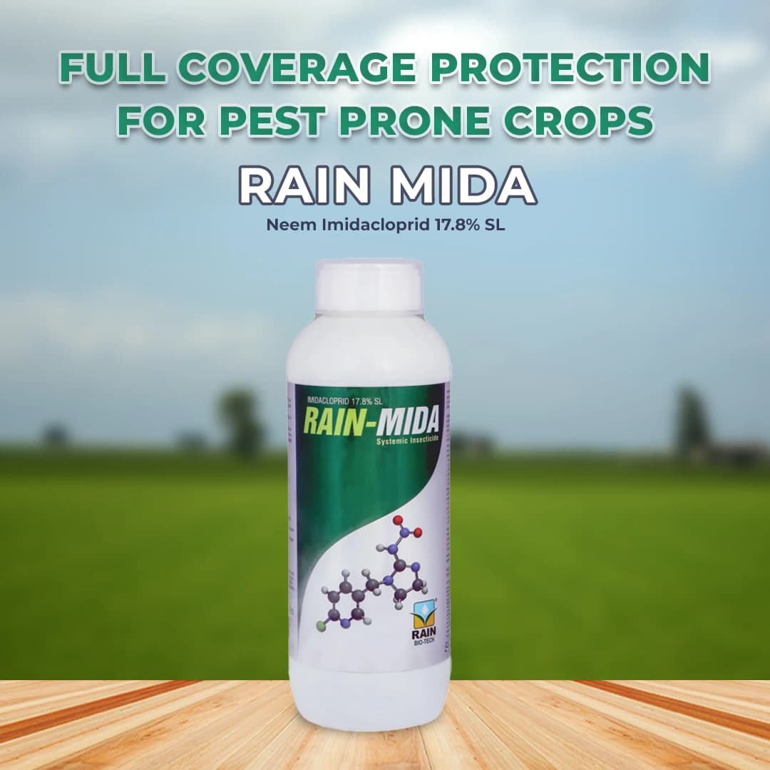 RAIN MIDA - Imidacloprid 17.8% SL Insecticide, Best Result Against Aphid, Whiteflies, Jassid, Thrips, Brown plant hopper, Green leaf hopper, Termite - Image 2