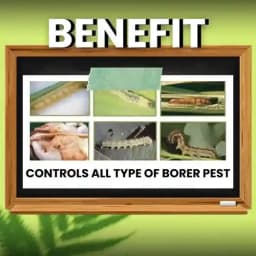 Katyayani Bt Bio Larvicide (Powder) Effective Bio-Pesticide For Natural and Eco-Friendly Larvae Control In Crops 3