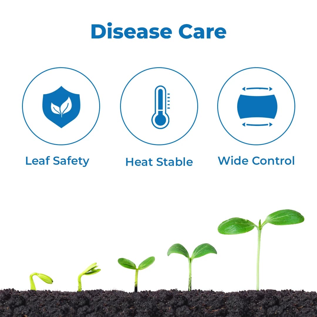 Anand Agro Sulfmore Sulphur 80% WDG Fungicide, Boost Crop Yields and Fight Fungal Diseases - Image 3