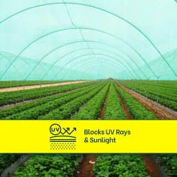 Mipatex Garden Shade Net 75% Shade, UV Stabilized, Sun Protected, Mipatex Green shade Net is made of 100% UV stabilized high-density polyethylene 9