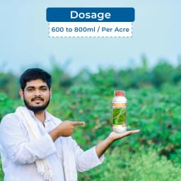 UPL Atabron Chlorfluazuron 5.4% EC Insecticides, Contact and Stomach Action Against Larvae of Spodoptera, Plutella and Heliothis 5