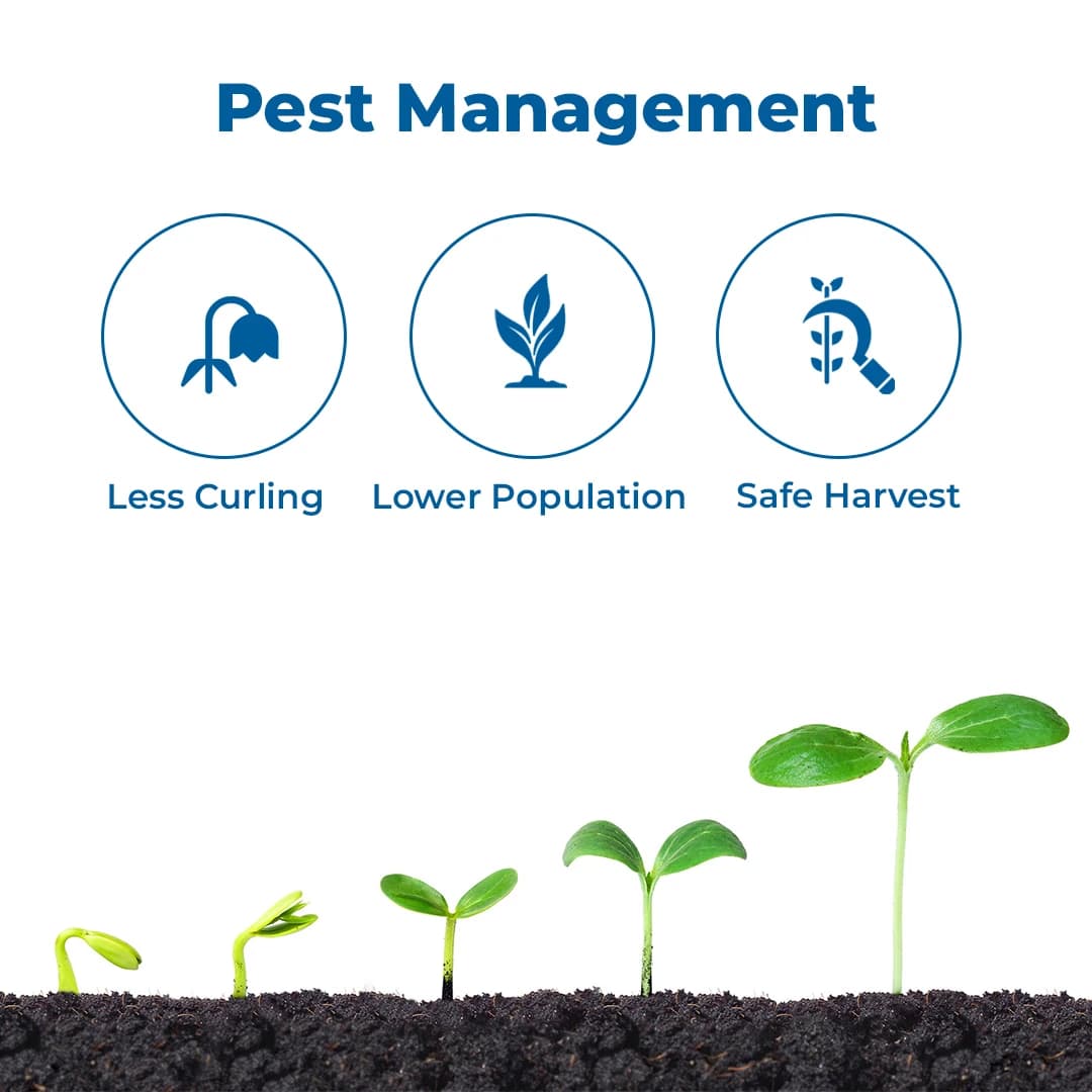 Magic Protector TR - Pesticide For Thrips and Mites - Image 3