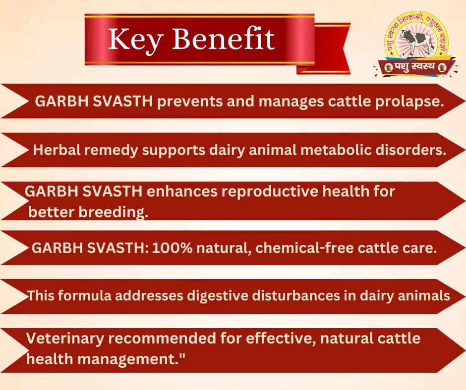 PASHU SVASTH GARBH SVASTH, Herbal Cattle Prolapse And Uterine Health Solution - Image 2