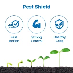 Suraksha Kit for Larva Control at Growth Stage First 40-45 days (F-Zone 250 ML + Star One 250 ML + Spring Ever 1 Ltr + NB 80 250 ML) 3