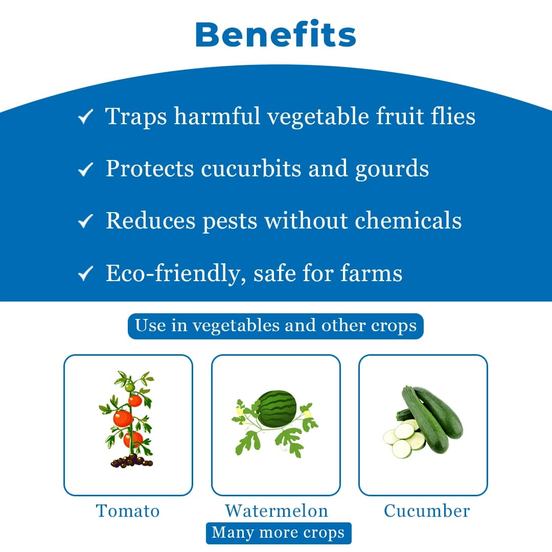 BACF Vector 360 Vegetable Block Lures, Cuelure, Bactrocera Cucurbitae Lures - Image 4