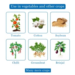 Pest Out Sucking Pest Controller Like., Thrips, Jassids, Hopper, Aphid, Whitefly, Mealy Bugs and Different Types of Pest 4