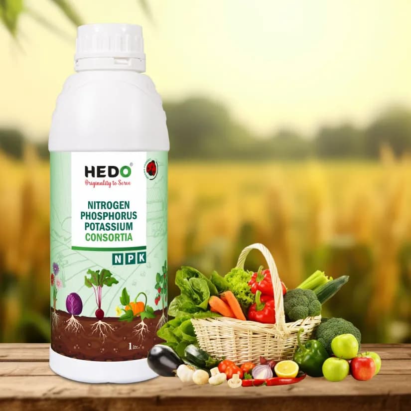 HEDO NPK Consortia (Bacteria) Liquid Bio Fertilizer For Agriculture, Garden, Soil Fertility And Plant Nutrition. - Image 6
