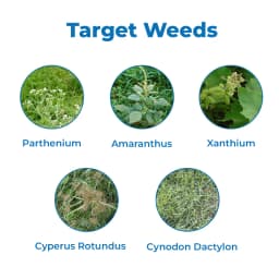 GSP RunOut-71 Ammonium Salt Of Glyphosate 71% SG Herbicide, Non-Selective, Effective Control Weed In Crops 3