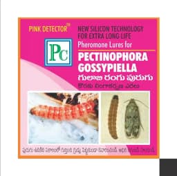 Pheromone Trap With Pectinophera Gossypilla Lure (10 Pack) Trap and Lure, Complete Set for Cotton Pink Bollworm, Protects Crops From Harmful Pests 3