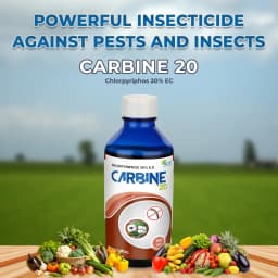 Carbine 20 - Chlorpyriphos 20% EC Insecticide, For Controlling Termite, Aphids, Bollworms, Whitefly & Cut Worm, Hispa, Leaf Roller, Stem Borer 2