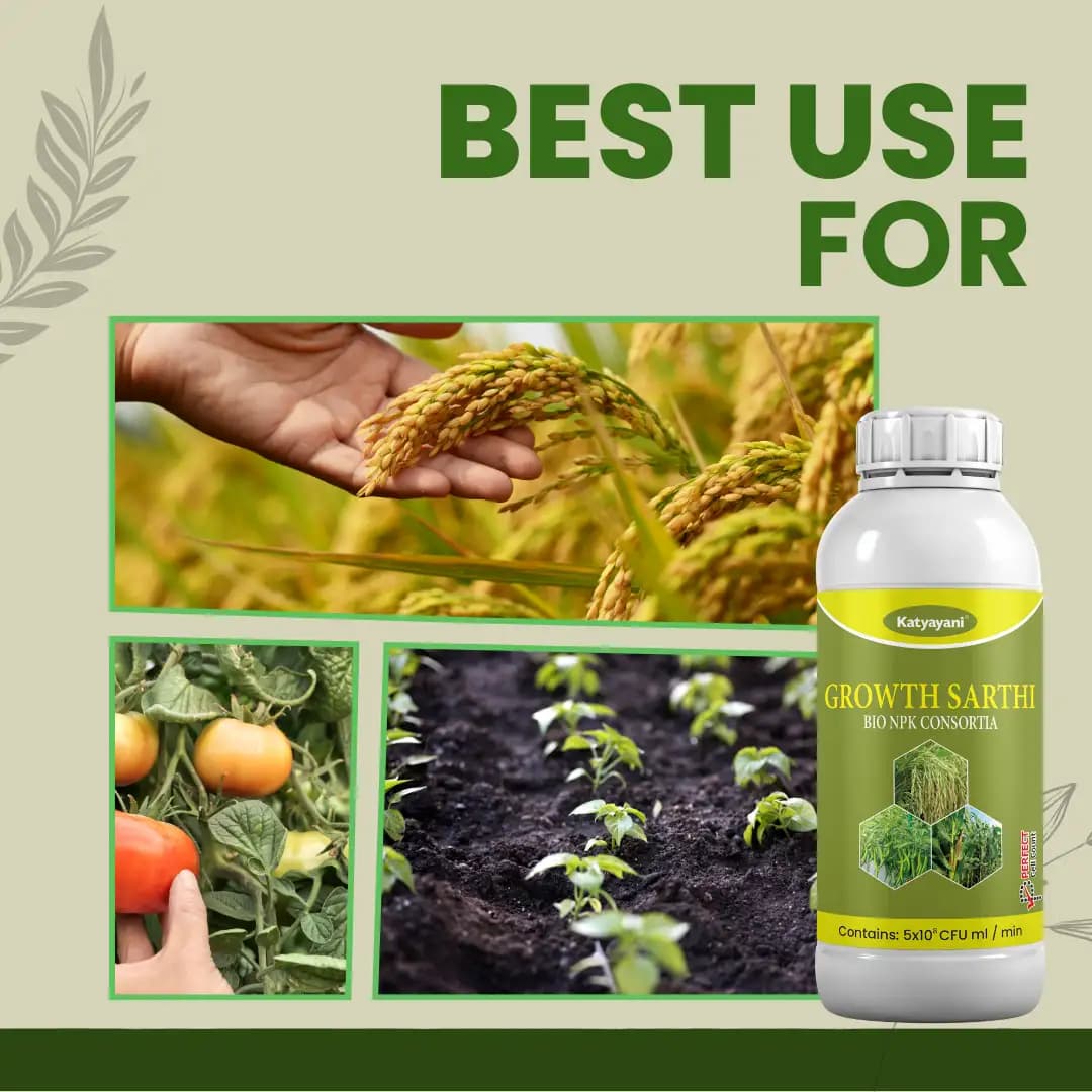 Katyayani Growth Sarthi Bio NPK Liquid Consortia Fertilizer, Premium Organic Blend For Enhanced Soil Health and Crop Yield - Image 5