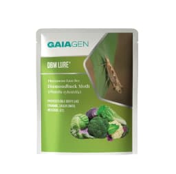 Gaiagen DBM Lure and Traps Pheromone Lure for Diamondback Moth (Plutella xylostella) & Insect Water Trap (Wota-T) 2