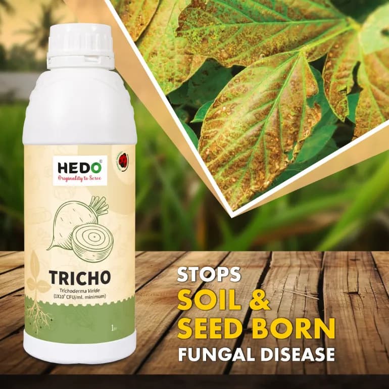 HEDO Tricho Trichoderma Viride Liquid Bio-Organic, For Agriculture, Garden & All Crops To Control All Fungal Disease & Seed Germination - Image 2