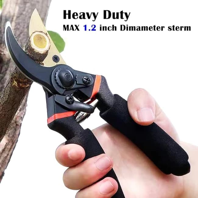 Radhe Agri Scissors, 8 Inch, Heavy Duty Plant Branch Cutter For Home Garden Tree Trimming - Image 6