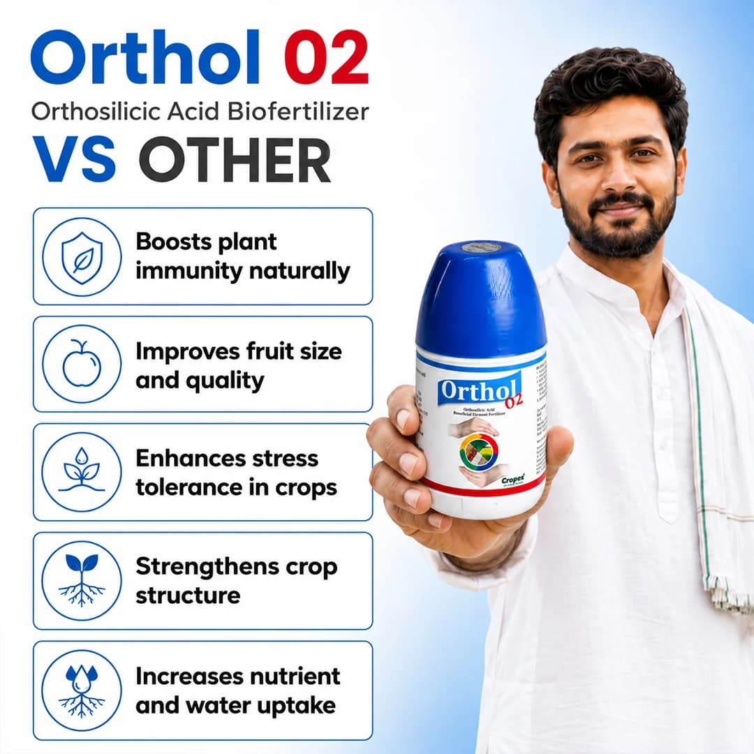 Orthol 02 - Ortho Silicic Acid 2% Fertilizer - Image 7