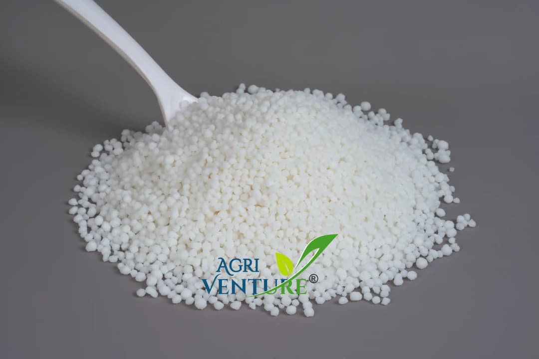 Agriventure Calcium Nitrate 18.8%, 100% Water Soluble Fertilizer, Increases Crop Quality And Yield - Image 9