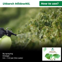 Utkarsh MildewNIL Plant Extract Based Natural Fungicide For Powdery And Downy Mildew 5